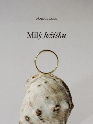 Vánoce 2025 ♥️✨ #Tereza_Cha_Jewellery #womanjewellery #delicatejewellery